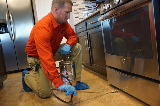 Images Dr. Death Pest Control