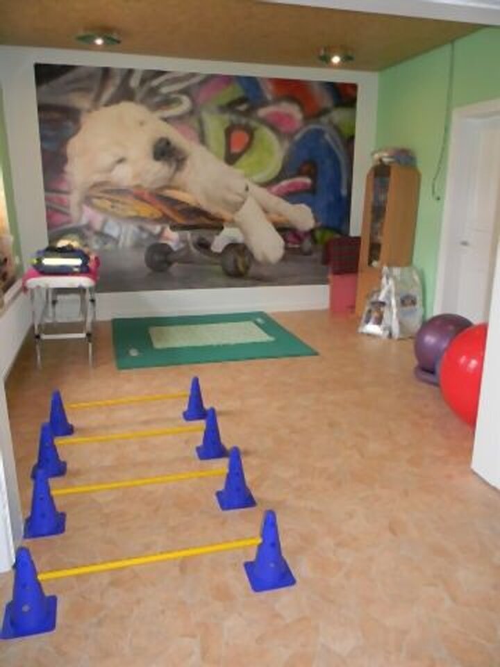 DogWaysCenter Moiken Plath - Hundephysio, Hundehotel/Pension, Hundetraining, Andreßenweg 1 in Friedrichskoog