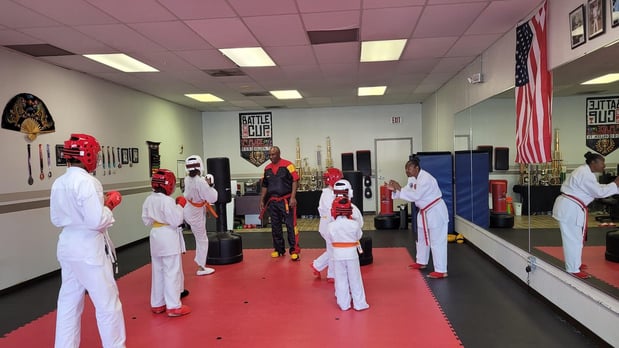 Images Jaguar Dojo