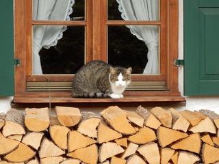 Tierarztpraxis München Nord Freimann - Elisabeth Kania, Längsweg 9 in München