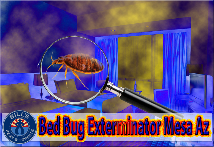 Bills Pest Termite Control Mesa Az Image