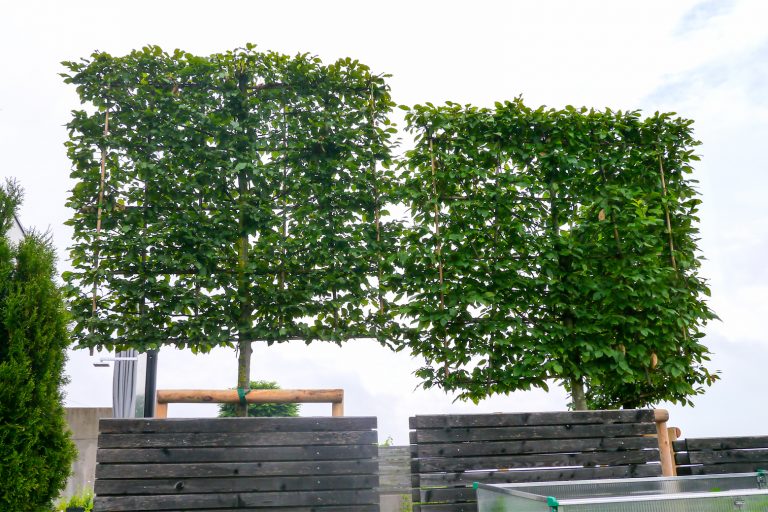 Gartengestaltung Dominik Hauer, Ranseredt 31 31 /1 in Eggerding