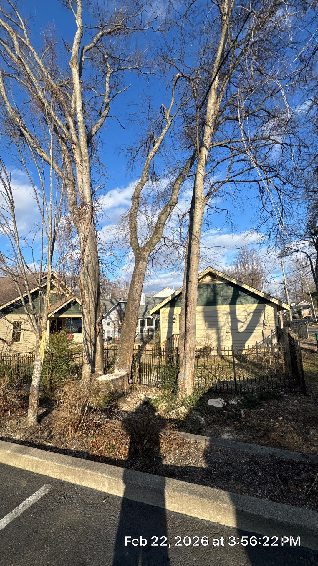 Tree Masters of Tennessee