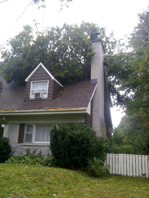Images Couvreurs Lakeshore Roofing