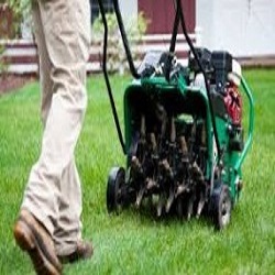 CORE AERATION/  POWER RAKING

Lawn Aeration is the process of mechanically removing small plugs of t Cosme Landscape Maintenance Alsip (708)636-6720