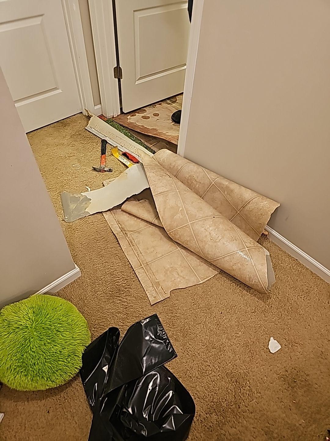 The Water Damage Pros Charlotte Charlotte (704)712-3130