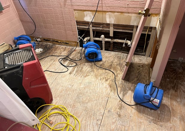 Images Restorex Disaster Restoration
