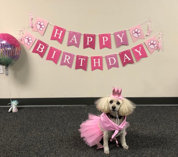 Images Granny Nannies of Gainesville