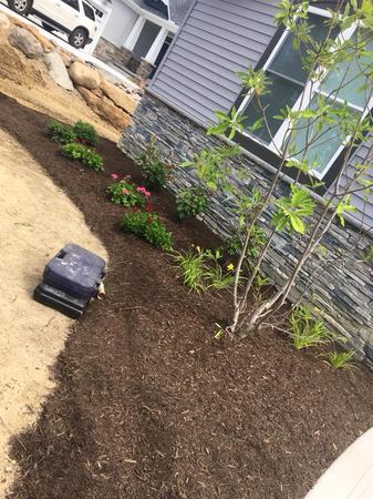 Images Earth Concepts