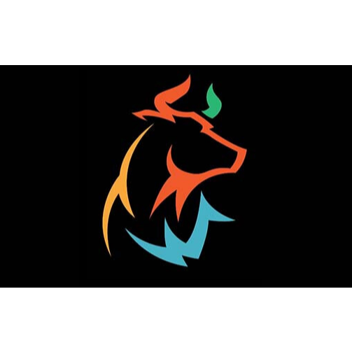 Bull City Painting & Roofing LLC