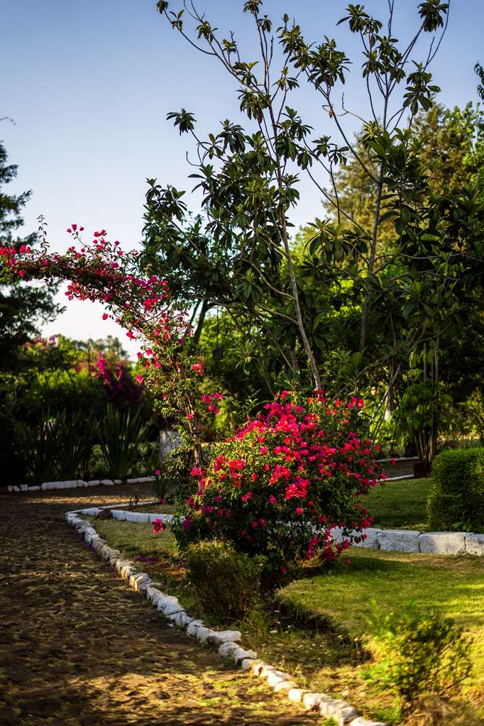 Images Best Western Plus Posada de Don Vasco