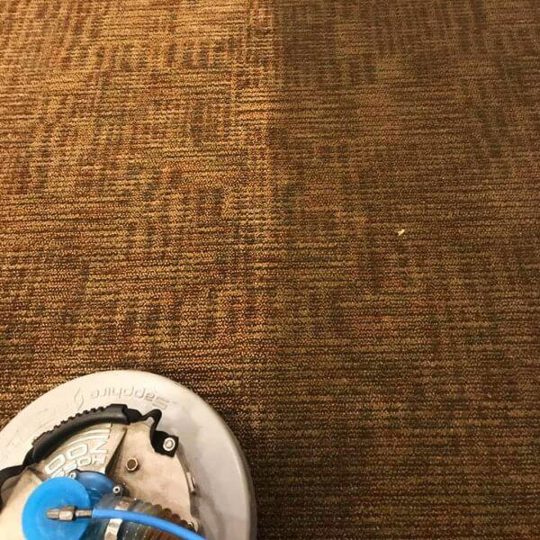 professional carpet cleaning Brandon SD