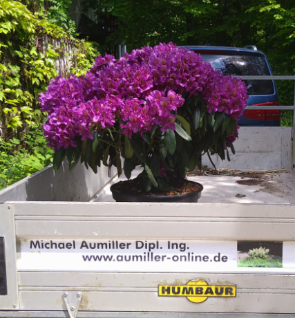 Aumiller Michael in Emmering Kreis Fürstenfeldbruck - Logo