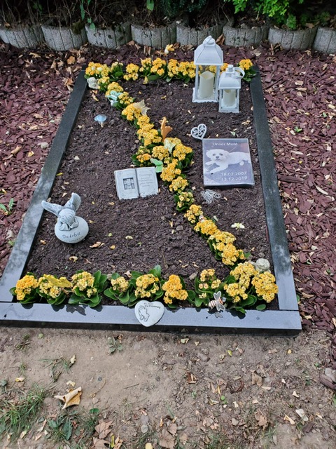 Tierbestattung Abschied, Gebrüder-Coblenz-Str. 10 in Köln