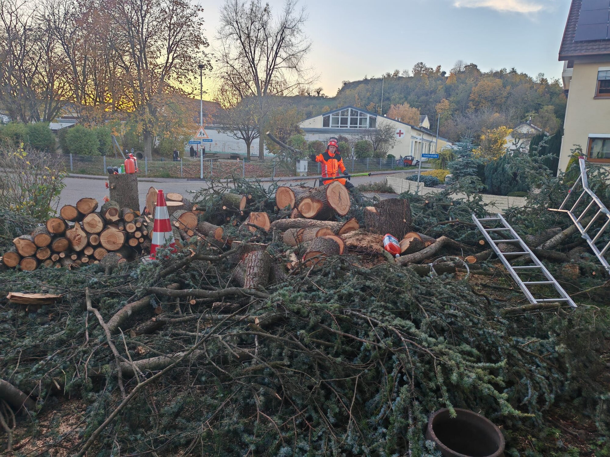 Bilder Badischer-Servicedienst