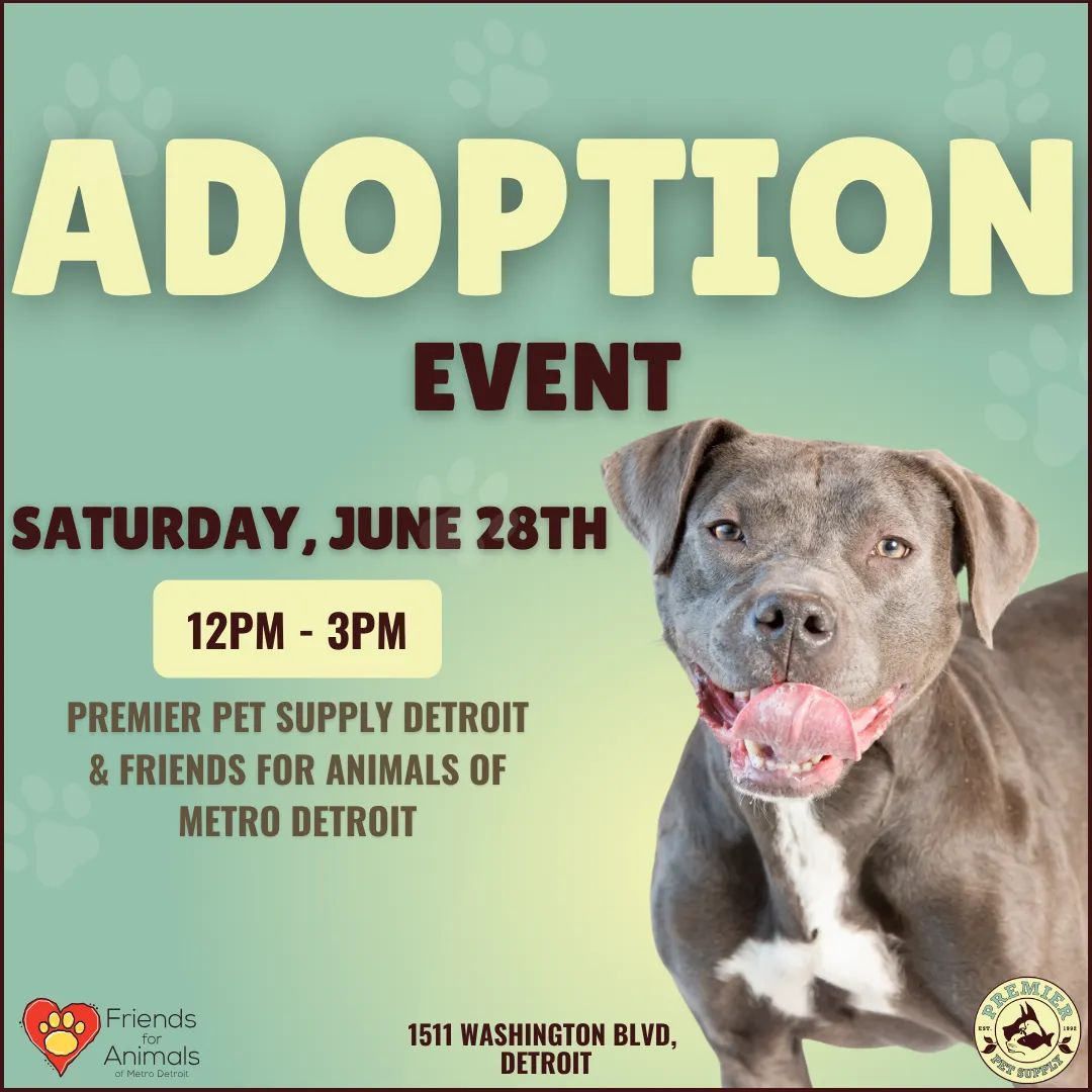 Image of Local Pet Event FRIENDS FOR ANIMALS OF MET DETROIT ADOPTION EVENT |DETROIT Nearby