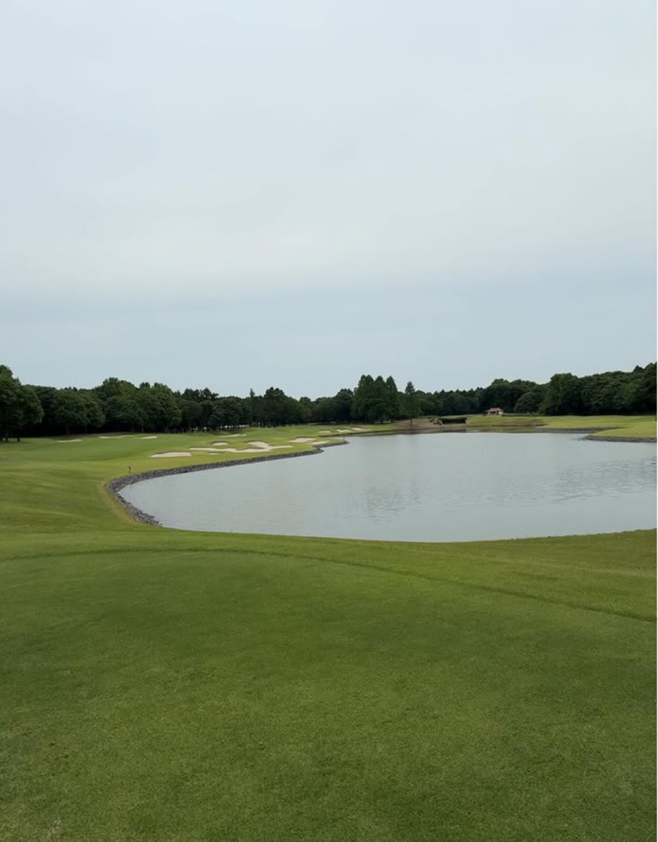Images VZONEGOLF
