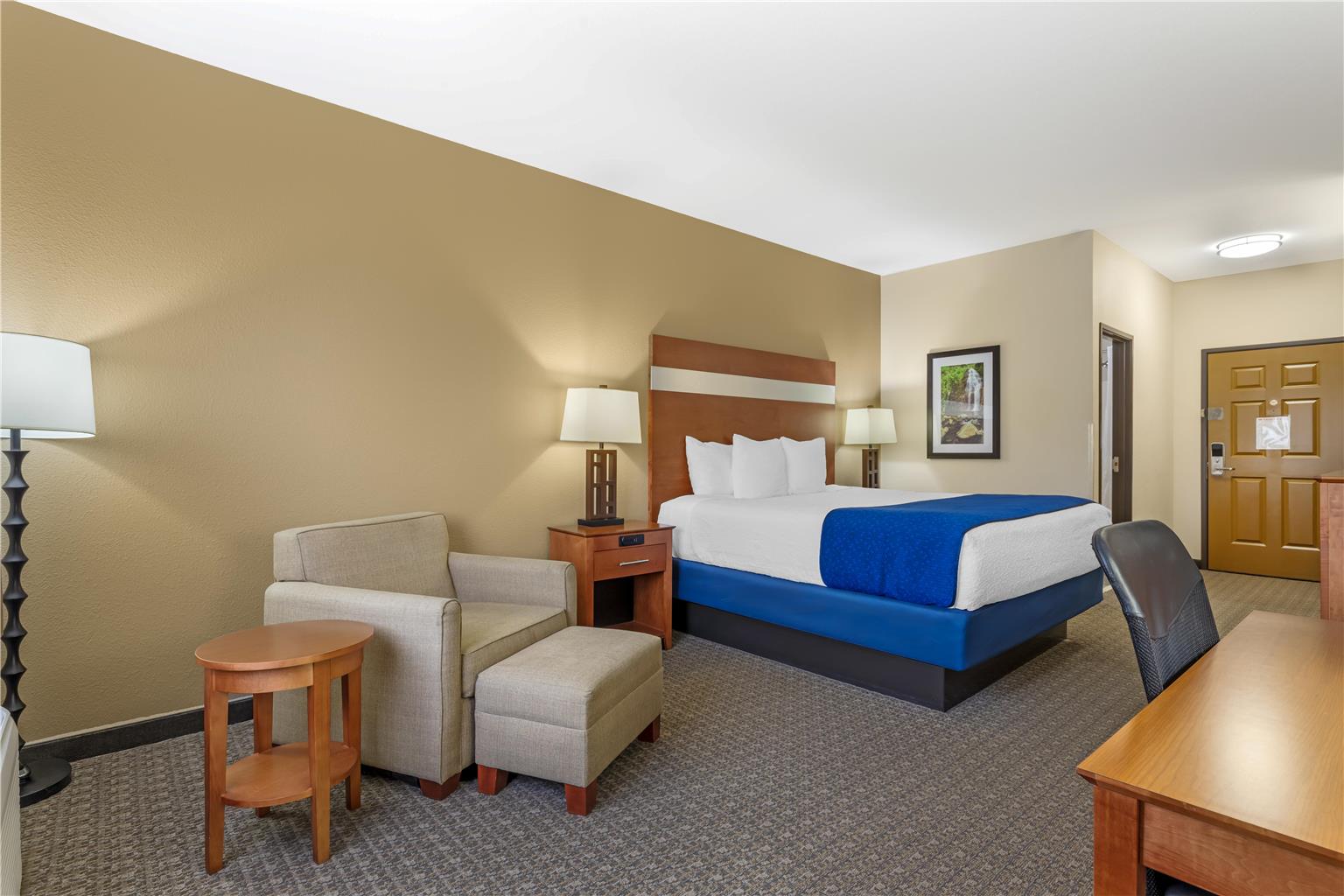 1 King Bed