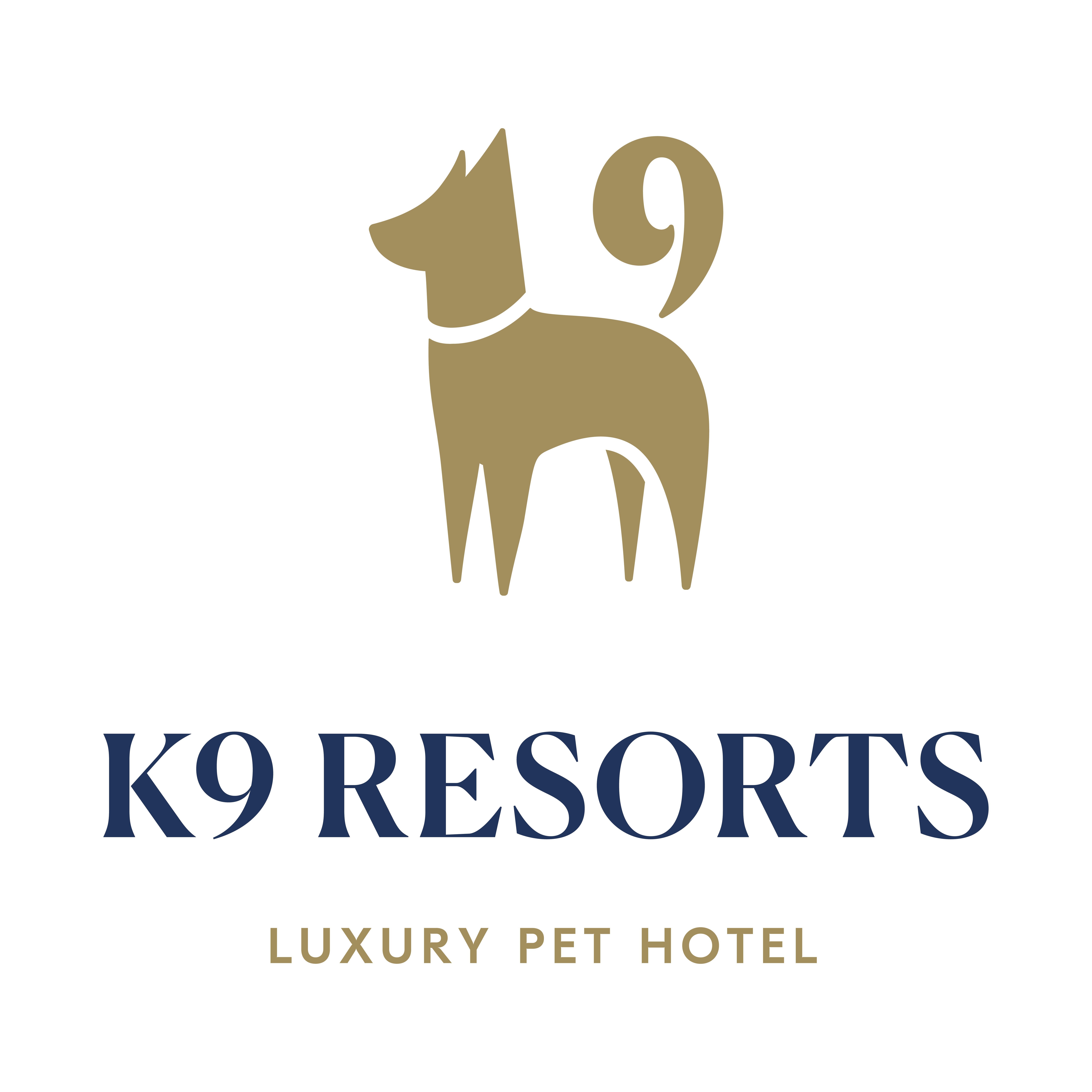 K9 Resorts Luxury Pet Hotel Photo