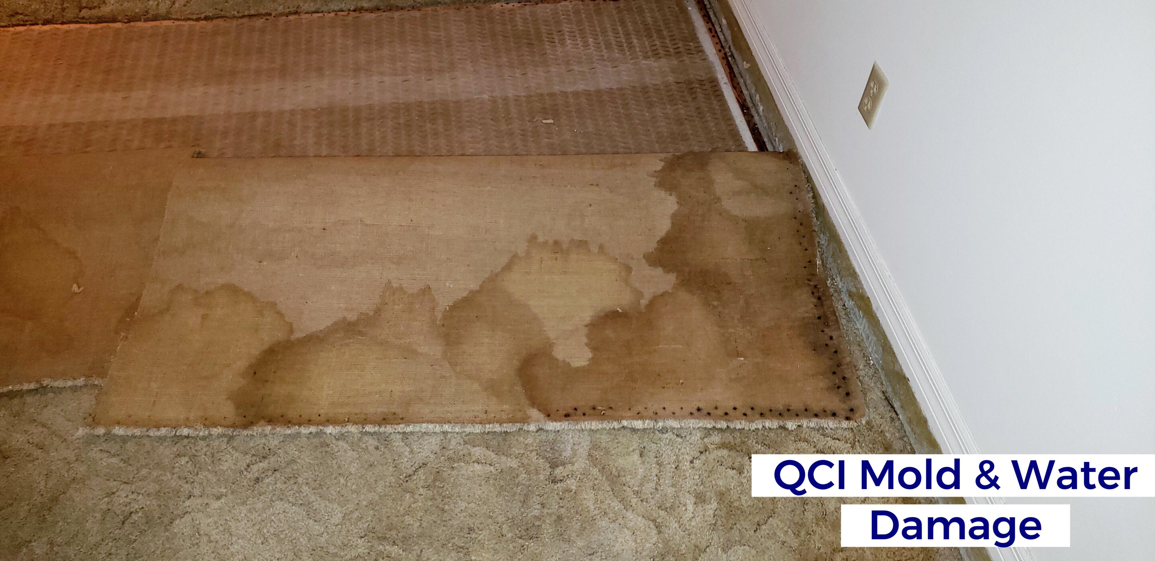 Image 21 | QCI Mold and Water Damage