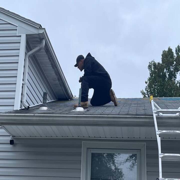 Images JKR Pest Solutions