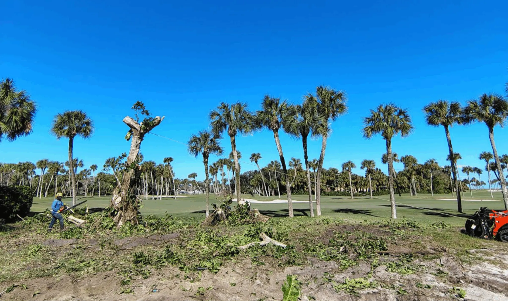 Land Clearing Services