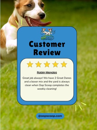 Images Oop Scoop Pet Waste Removal