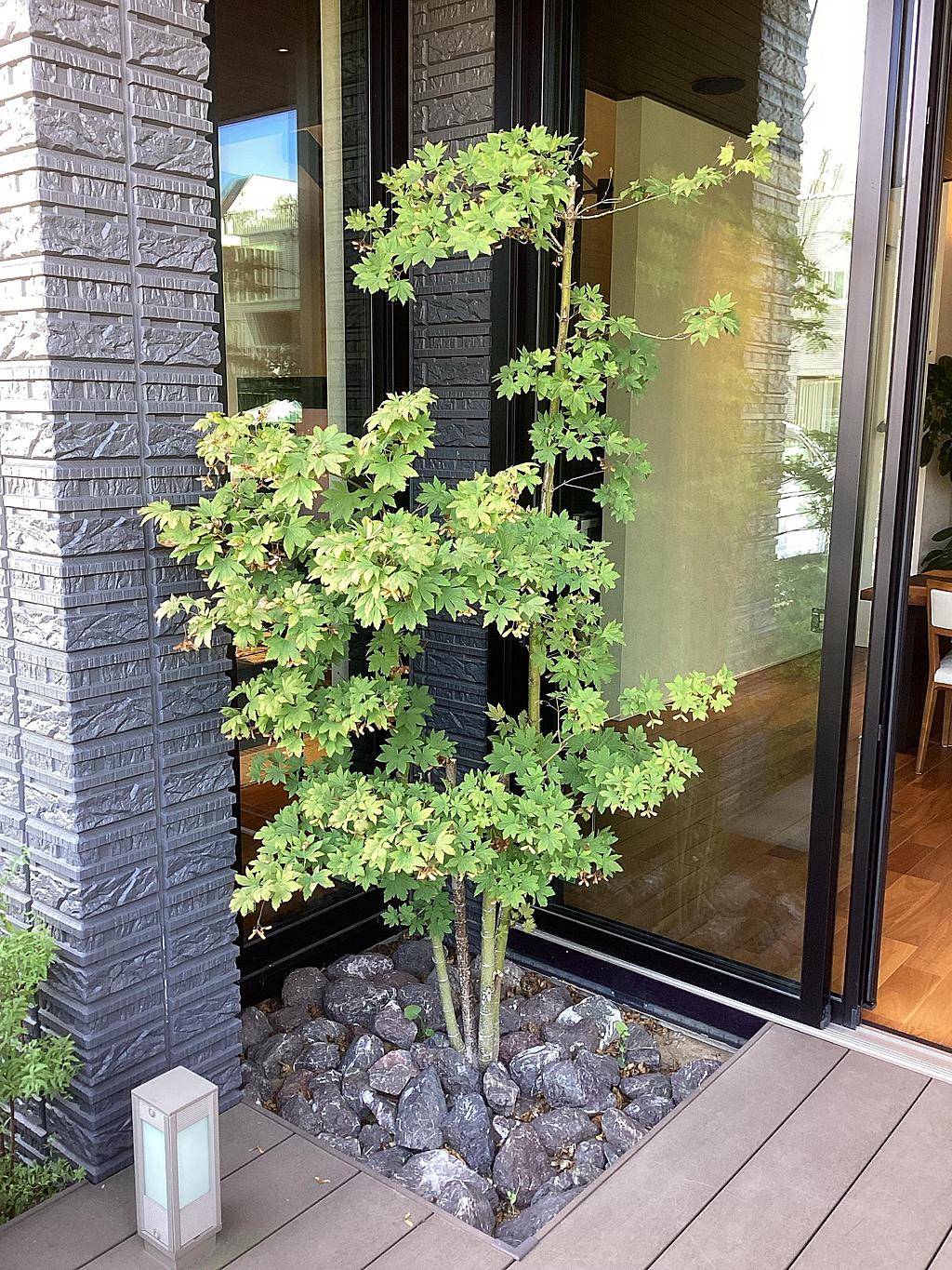 Images ダイワハウス船橋展示場