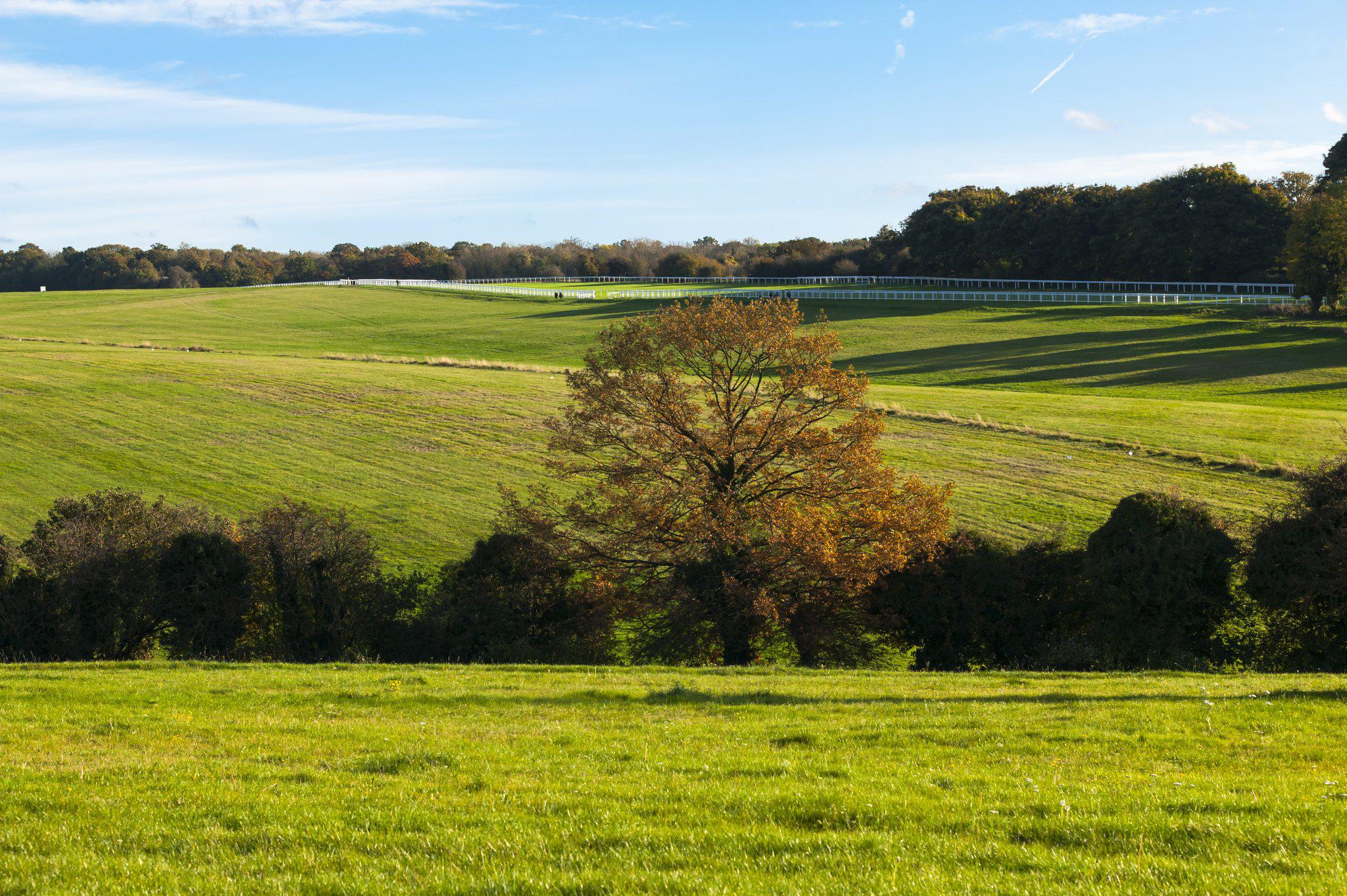 Images Holiday Inn Express London - Epsom Downs, an IHG Hotel