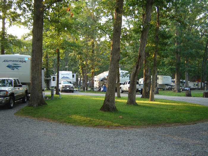 Images Whittington Woods Campground