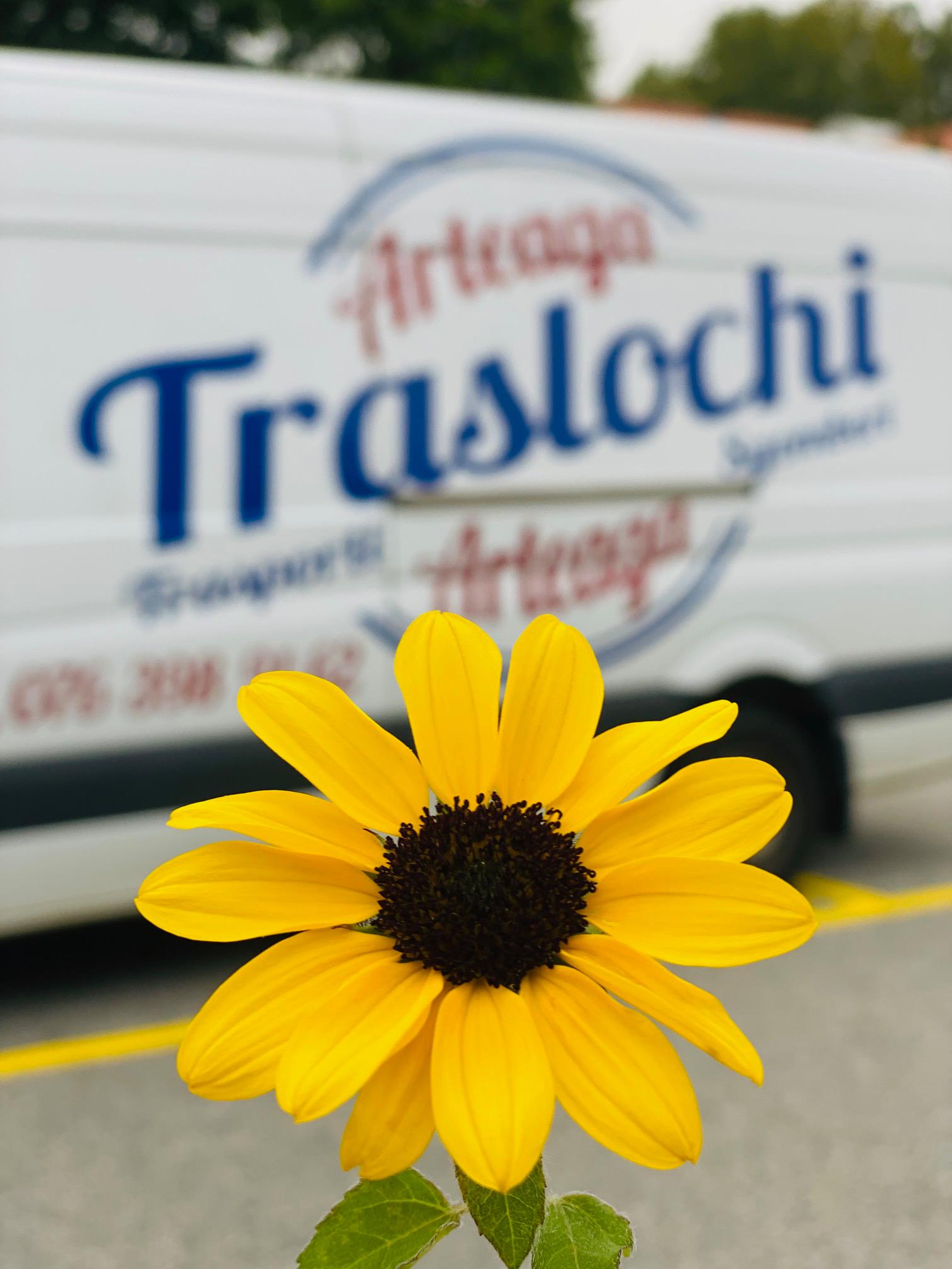 Bilder Arteaga Traslochi