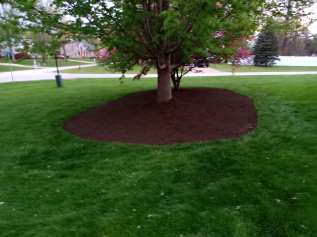 Images MRK Landscaping & Snowplowing
