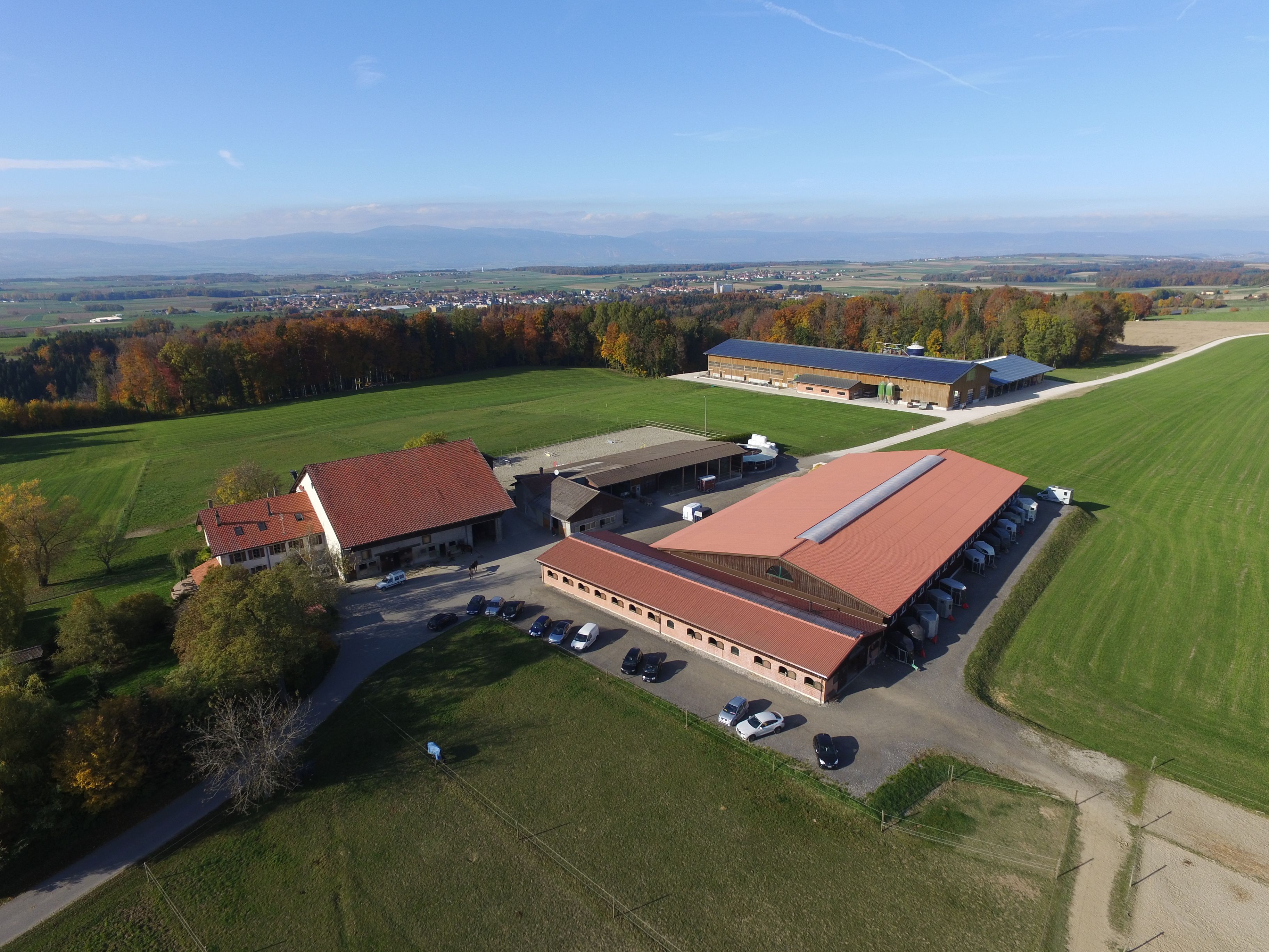 Bilder F. Frossard & Fils