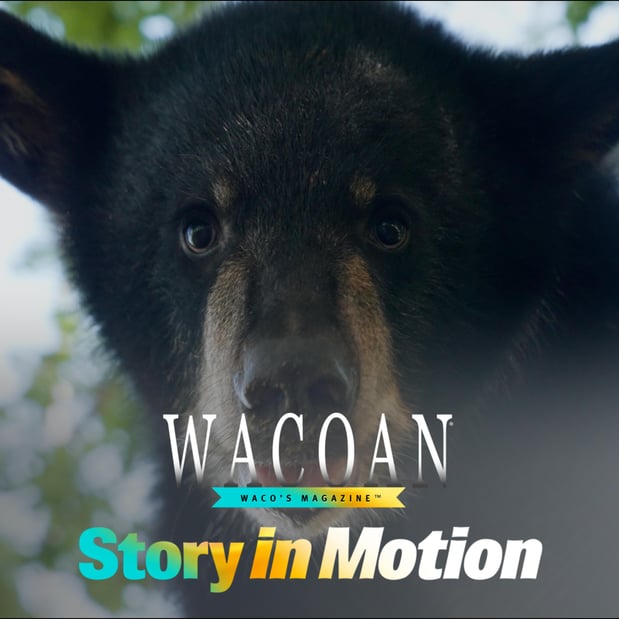 Images 360 Solutions