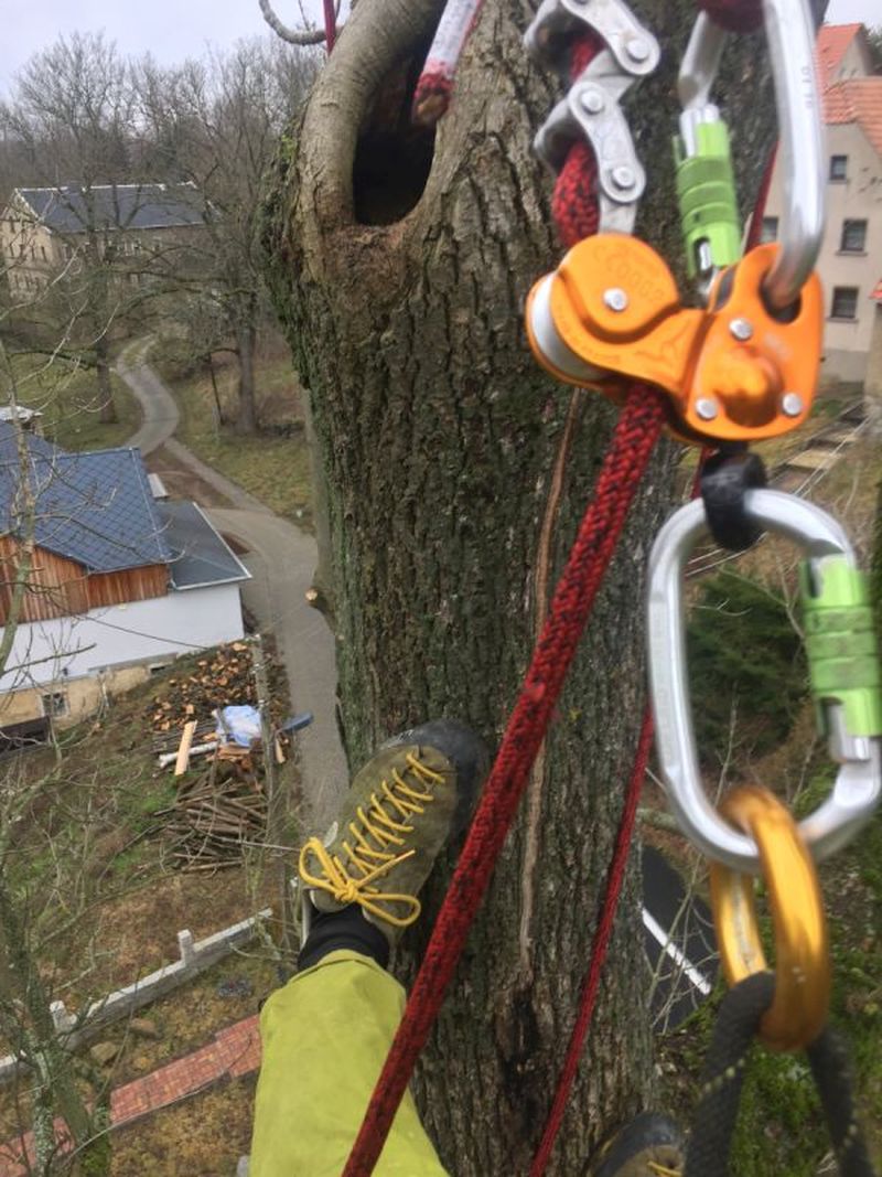 Vimaana Baum und Garten, Bobritzschtalstraße 48 in Bobritzsch-Hilbersdorf