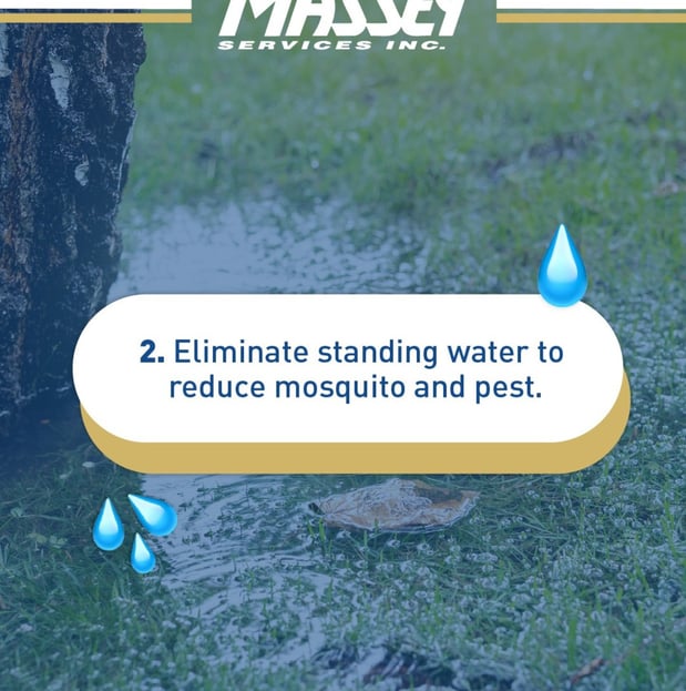 Images Massey Services Pest Control