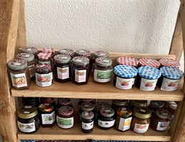 Stivetta Grischuna, Goethestrasse 15 in Stäfa