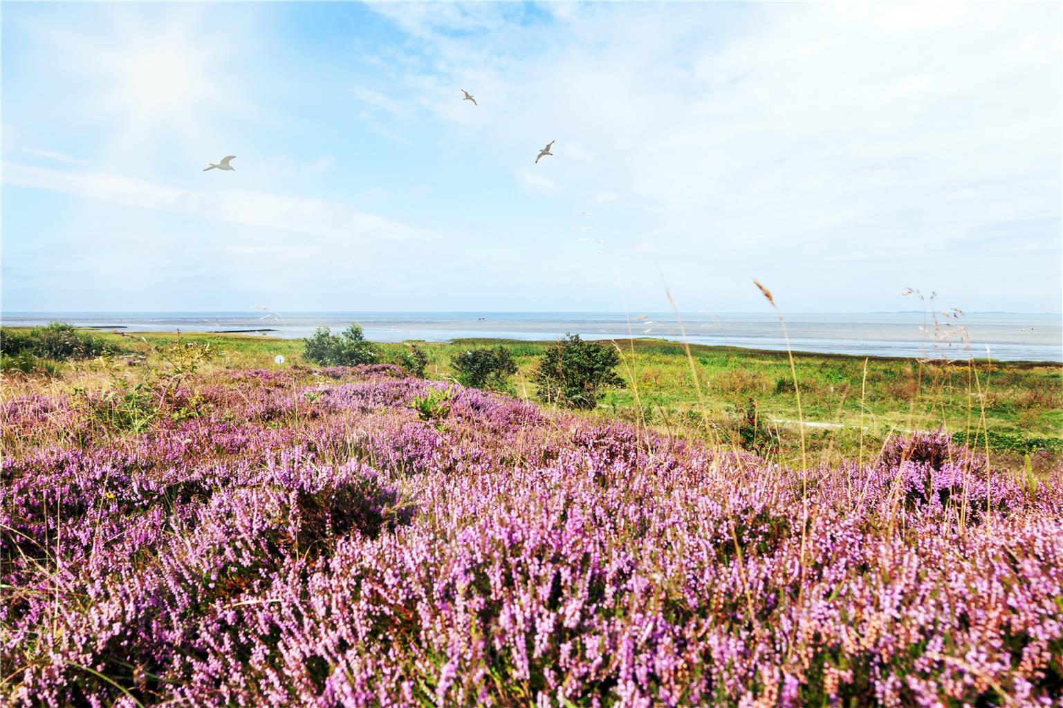 Best Western Hotel Das Donners, Am Seedeich 2 in Cuxhaven