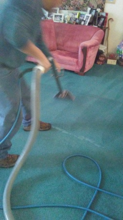 Images Alex's Magic Carpet Cleaning