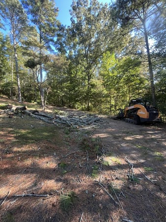 Images B&H Land Clearing and Tree Services