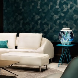 Biorb Aquariums