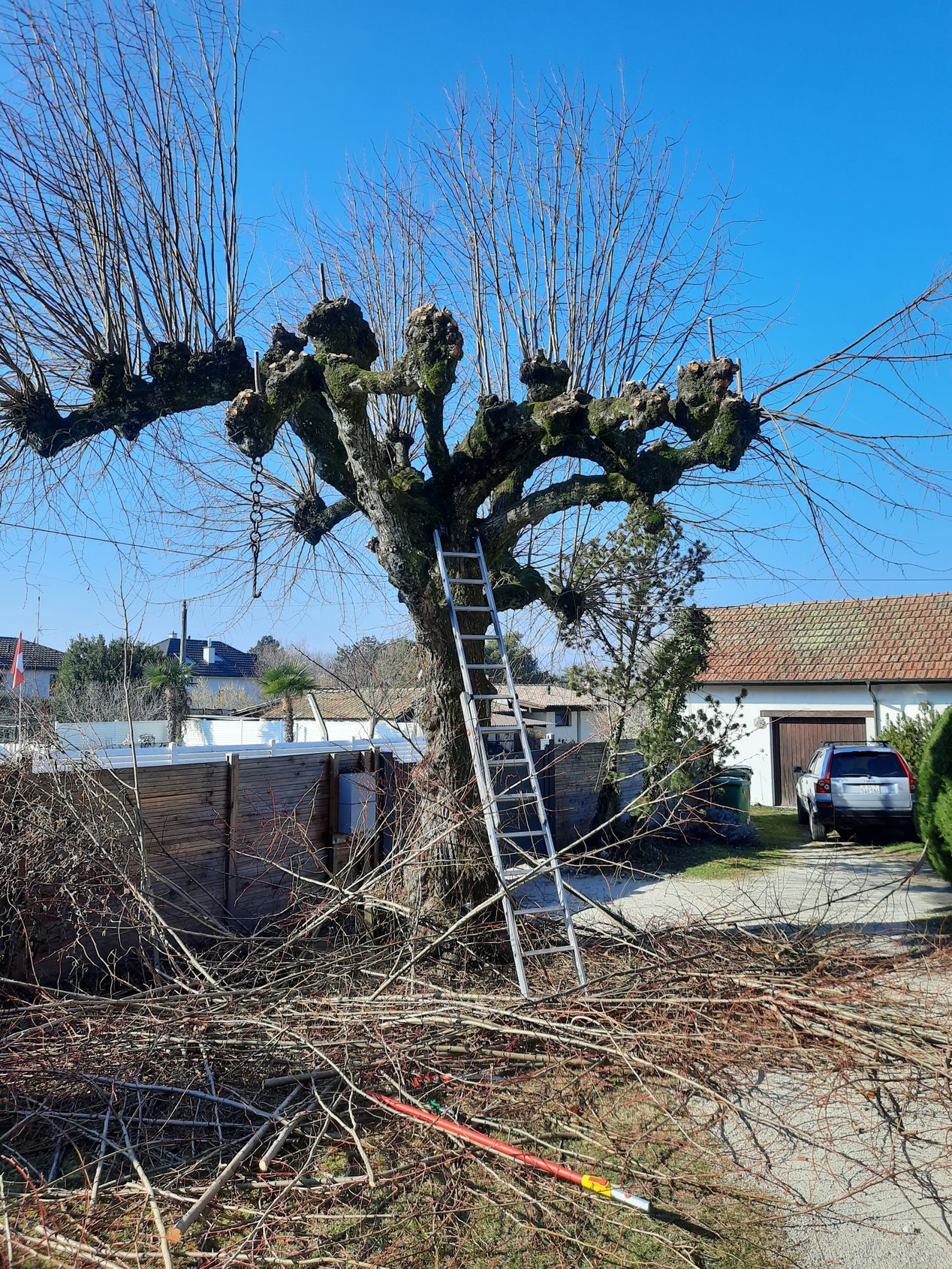 Bilder LML Jardin, Ferizi