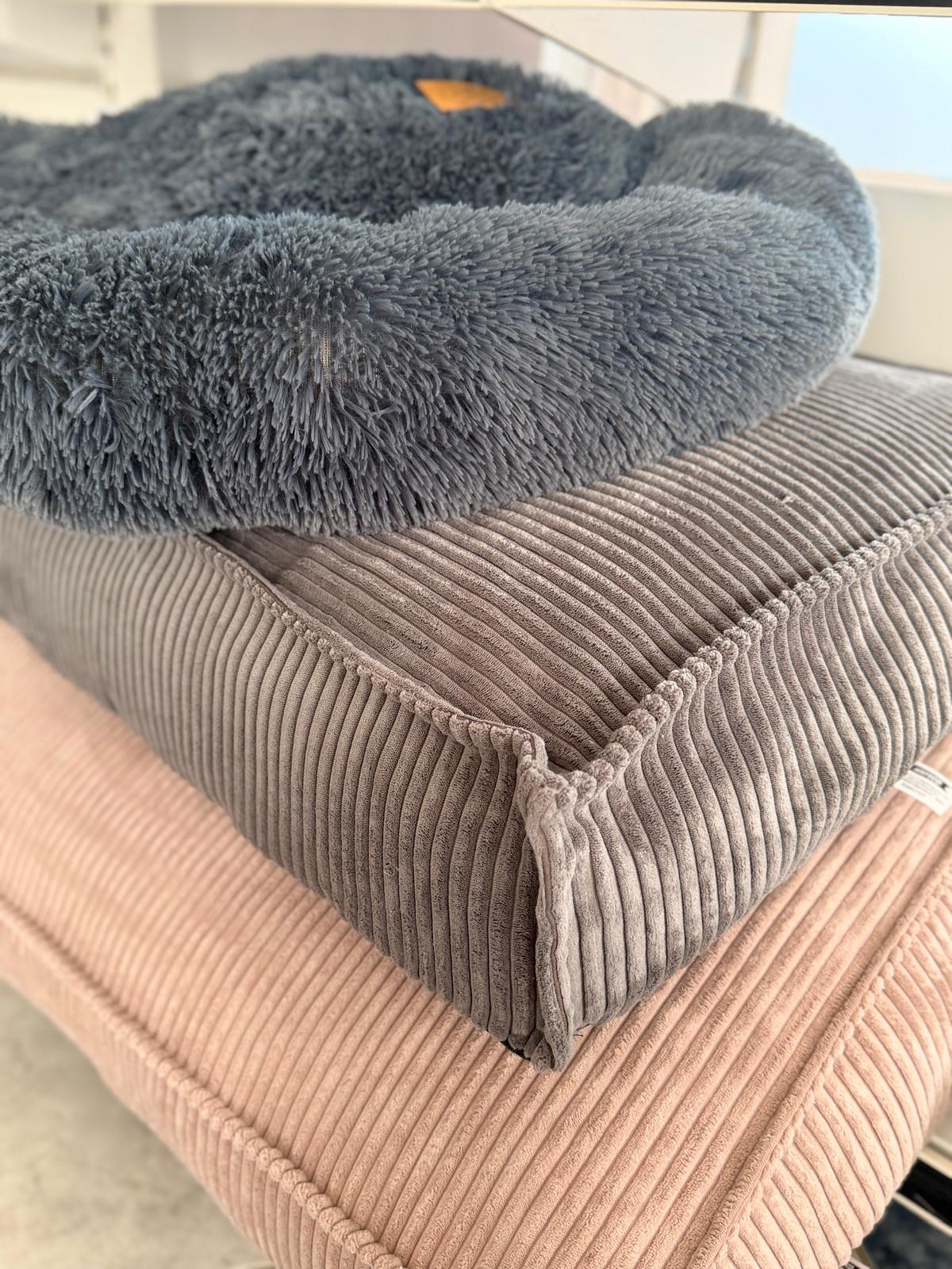 Images Mascotas Tindaya