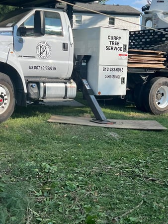 Images Curry Tree Service