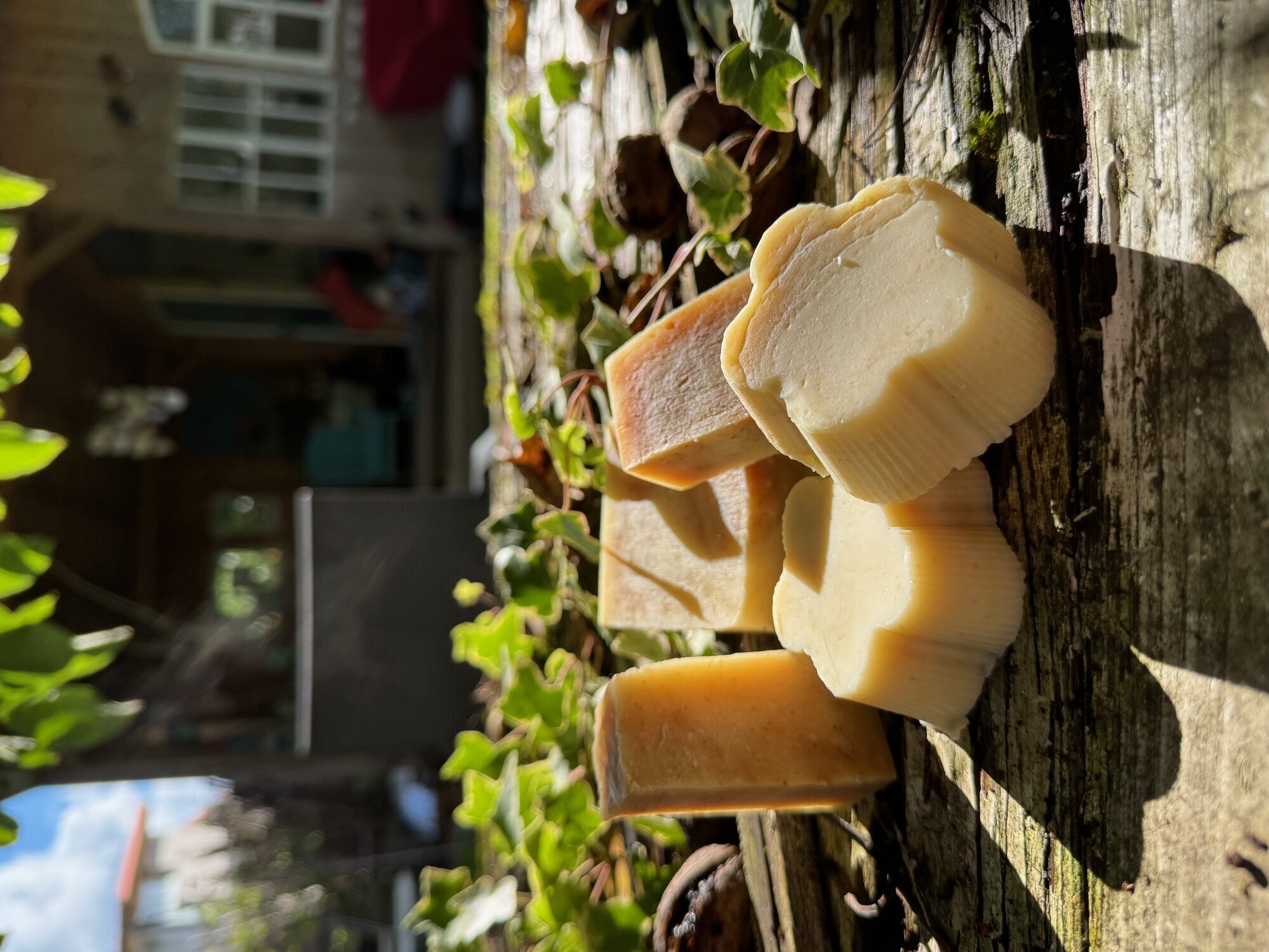 Bilder löwenstier Haarentfernung mit Sugaring & Seifen Manufaktur