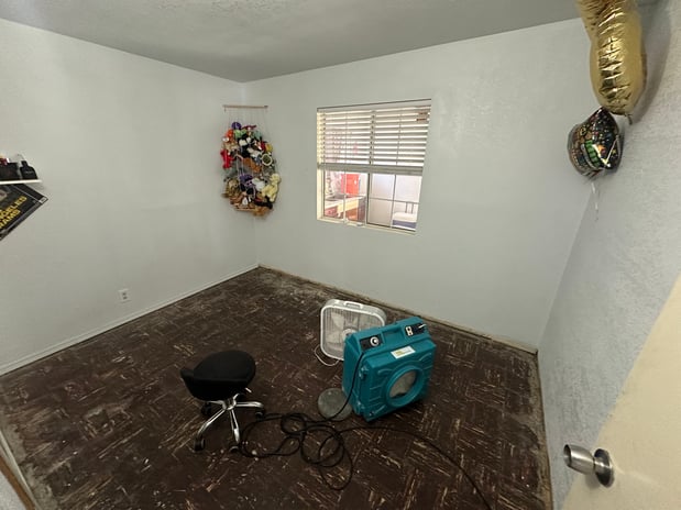 Images 24H Mold Inspection of Sherman Oaks