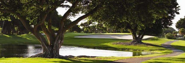 Images Links on Longboat