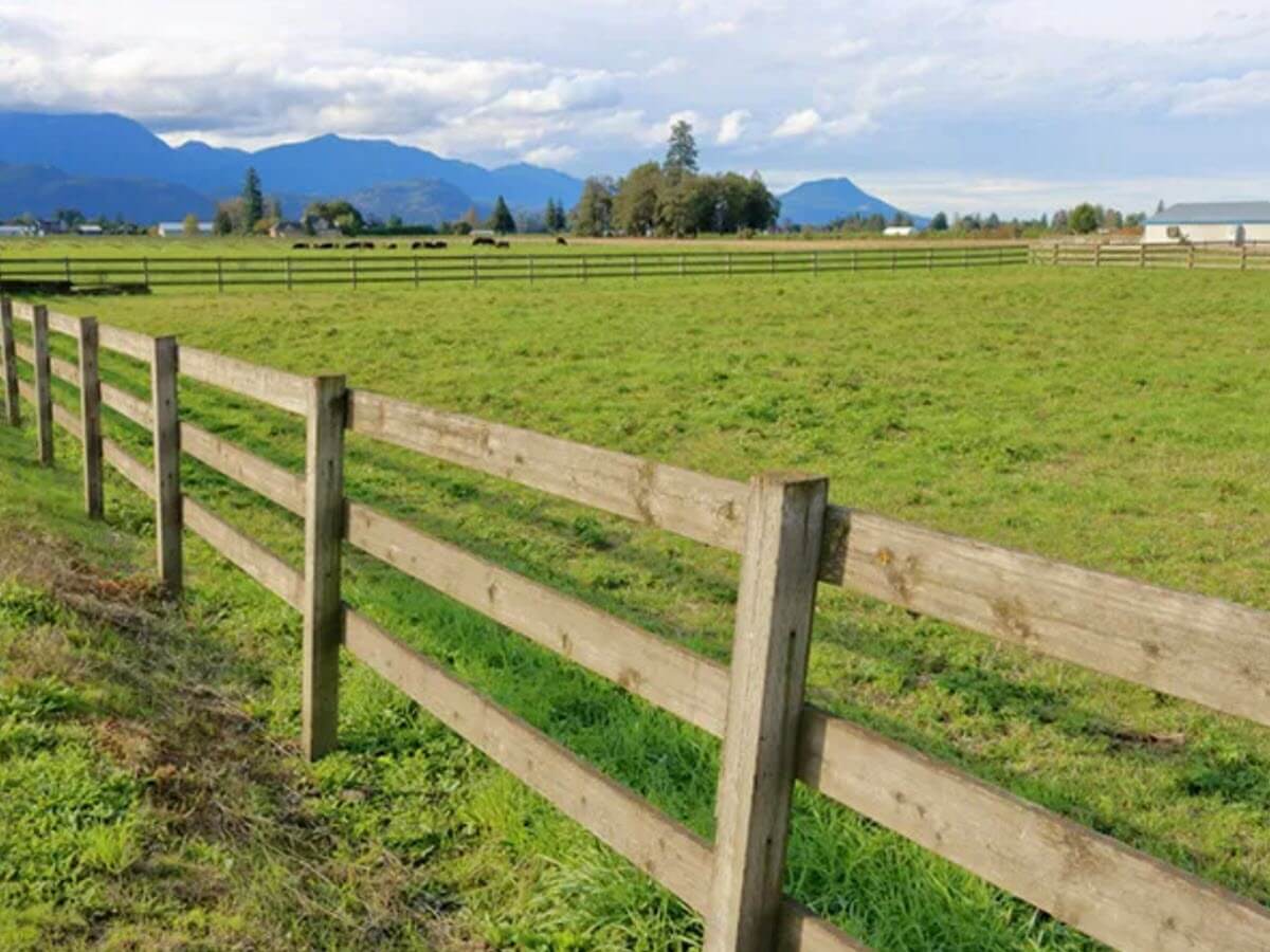 Cardinal Home Center Paint & Decorating Image