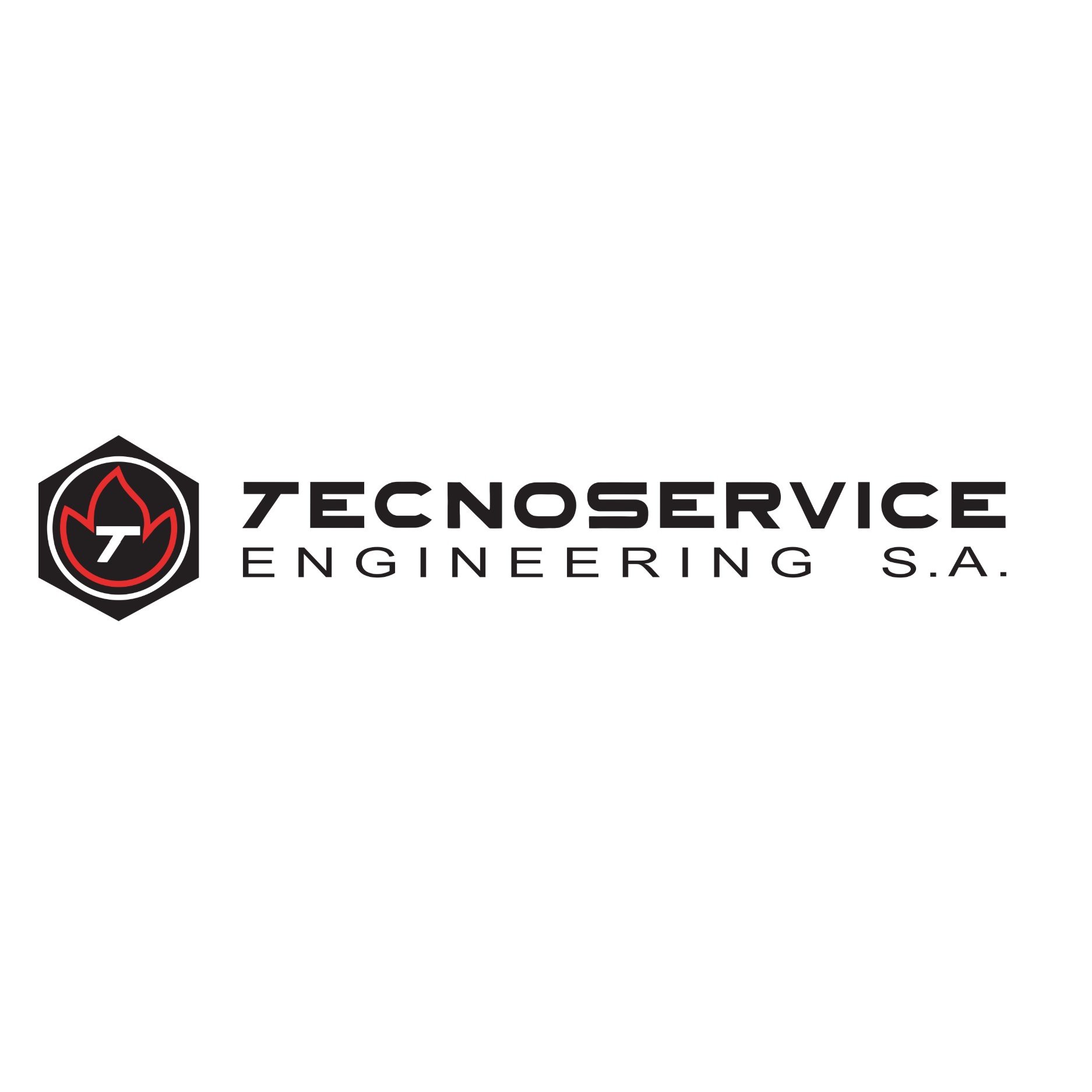 Tecnoservice Engineering SA Logo