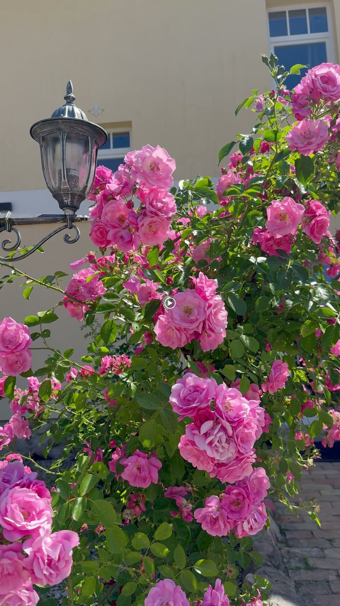 Fastenwanderzeit, Fleether Mühle 1 in Mirow